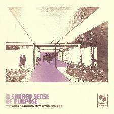 Warrington-Runcorn New Town Development Plan | A Shared Sense Of Purpose - Pink Vinyl